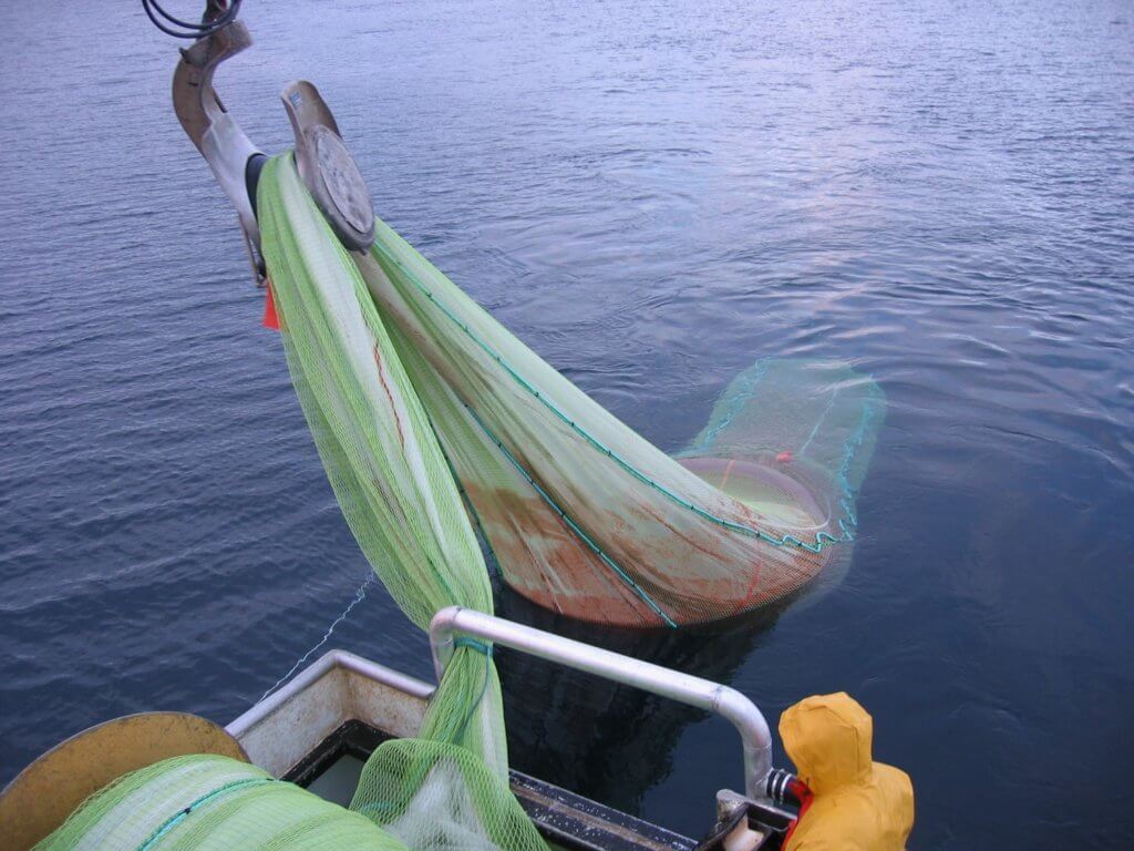 Norway opens for commercial harvesting of zooplankton