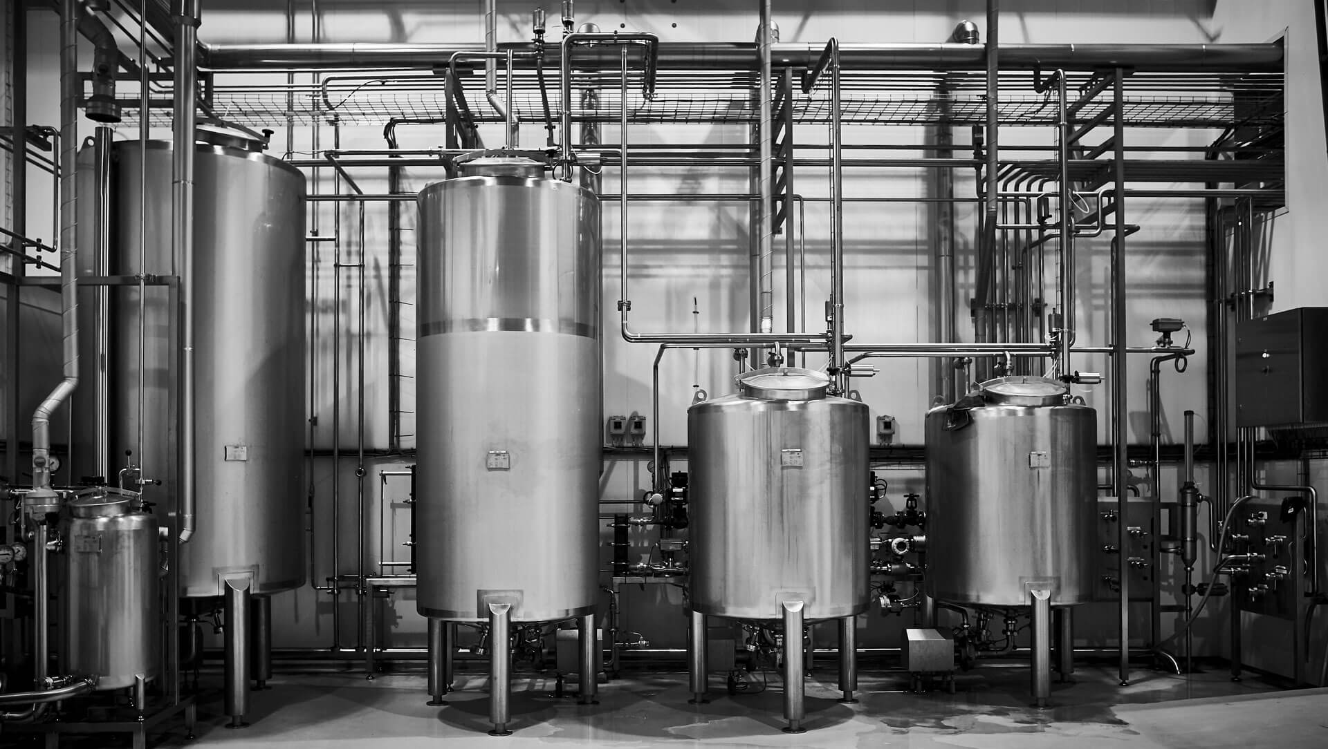 Biotep_2016_Foto_Audun_Iversen_L1005950_1-kompress